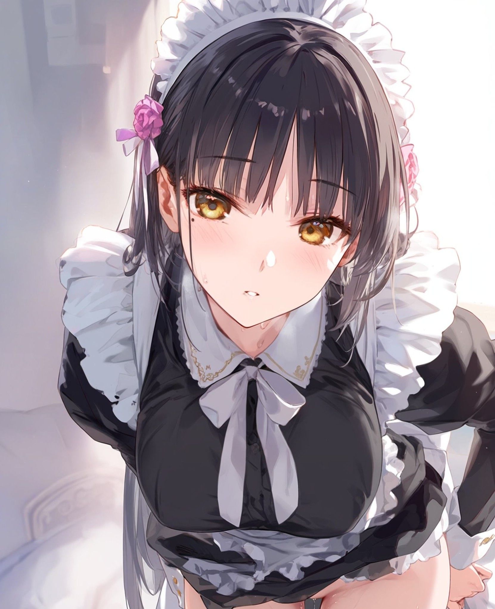 貴族少爺與女僕的日常