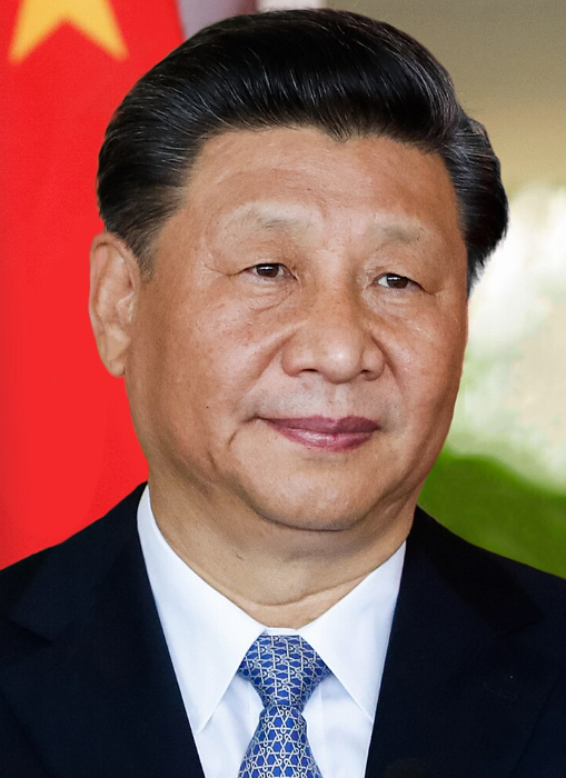 關於習近平貼身女秘書的我，其實是敵國來的間諜這檔事，是否搞錯了什麼!?