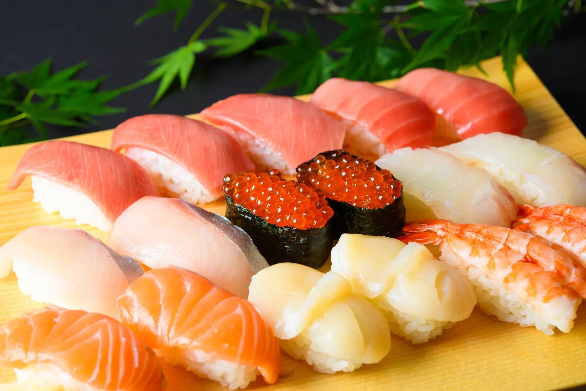 魚魚